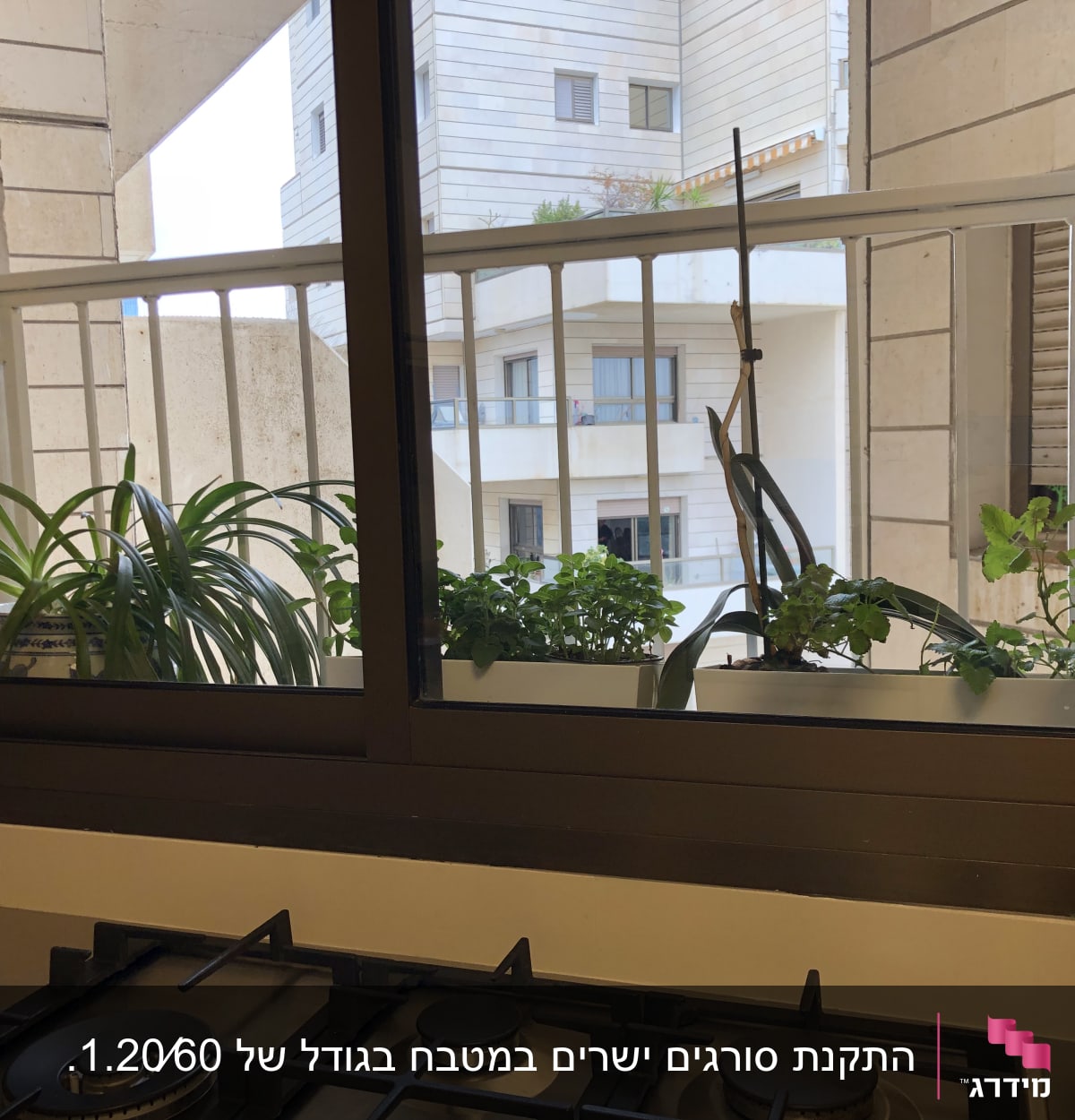 מסגרת חלון עם עציצים על אדן החלון